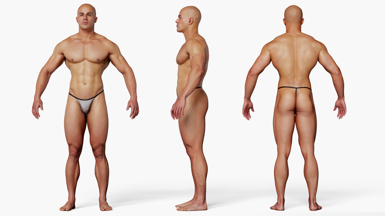 Muscular male 3d body model download